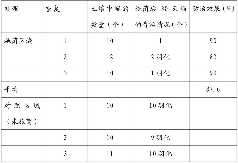 A kind of biological control method of eucalyptus looper pupal stage