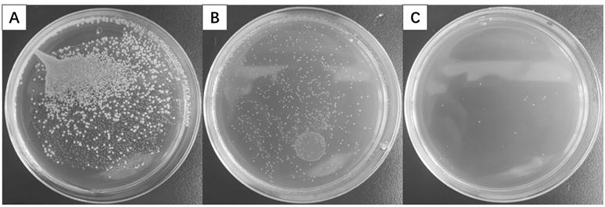 Preparation method of antibacterial mildew-proof polypropylene