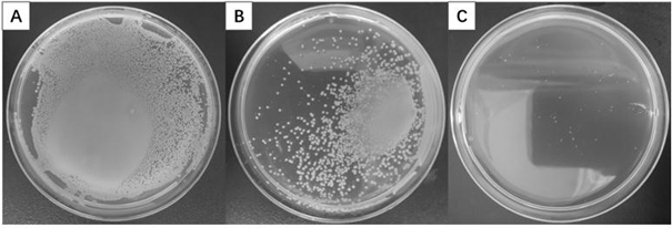 Preparation method of antibacterial mildew-proof polypropylene