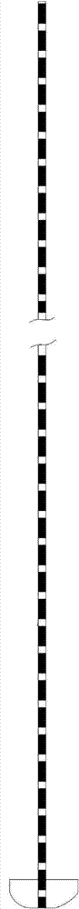 Single screw type percutaneous zygopophysis pedicle screw internal fixation system