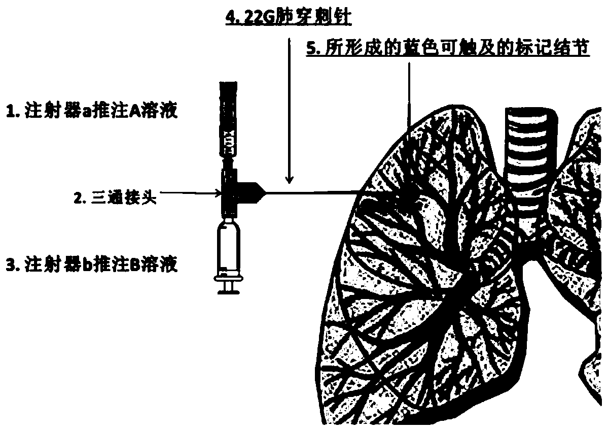 Color and touch labeling method for lung micro-nodule before surgery