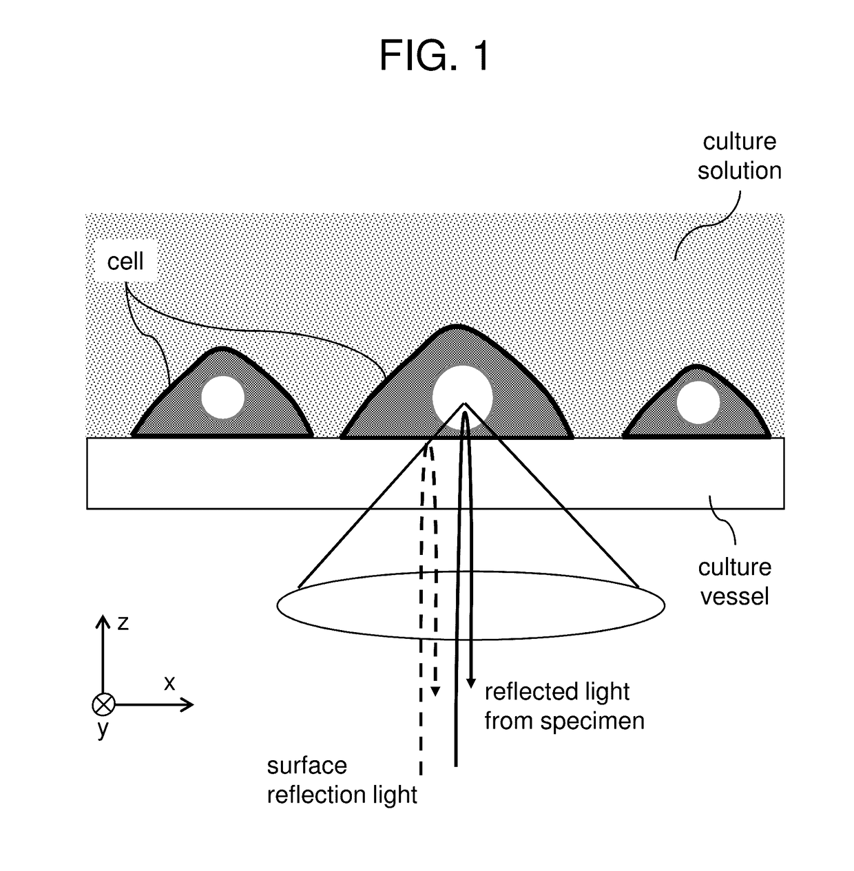 Optical measurement method and apparatus