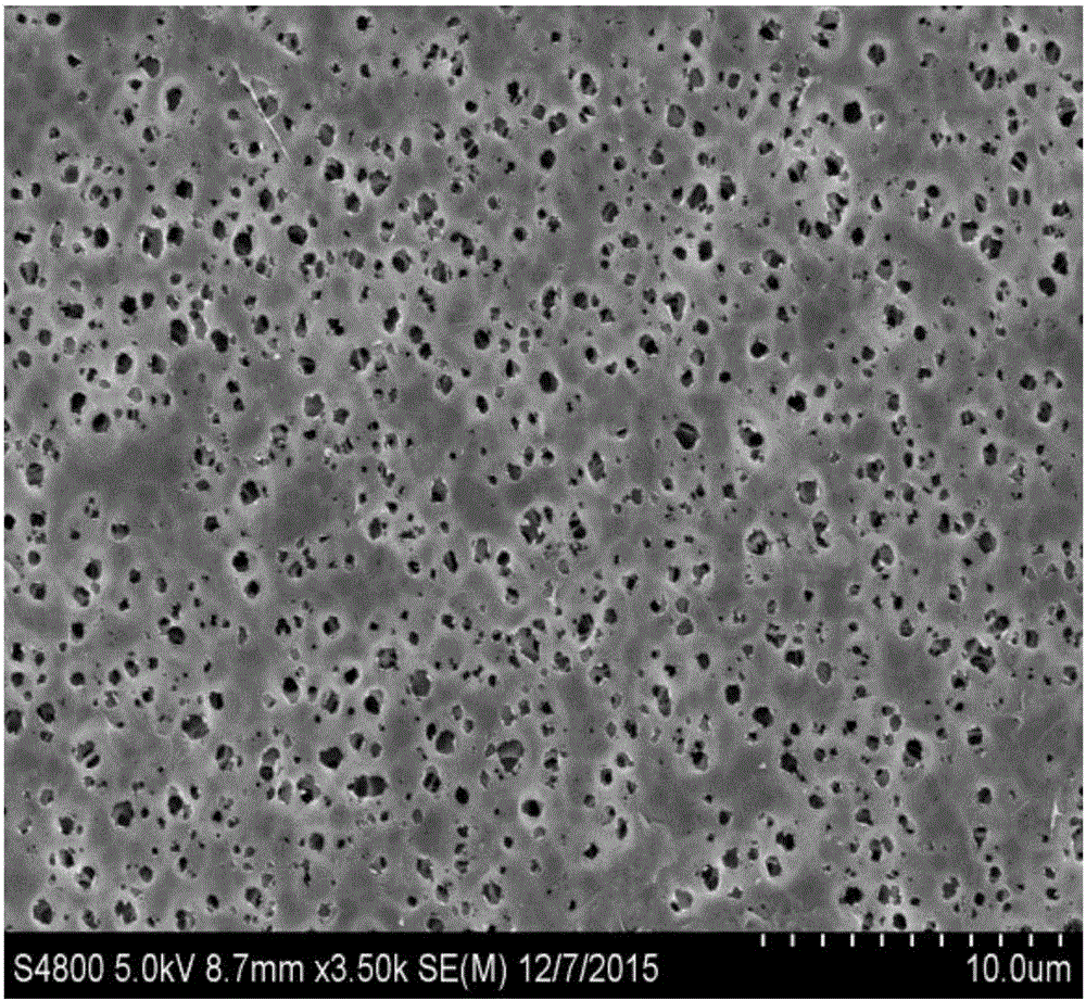 Novel nano-crystalline cellulose modified lithium ion battery diaphragm and preparation method thereof