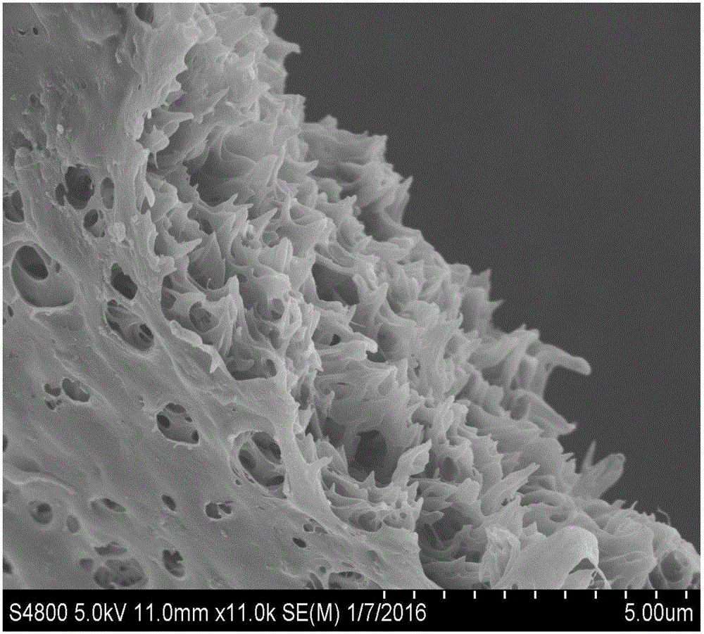 Novel nano-crystalline cellulose modified lithium ion battery diaphragm and preparation method thereof