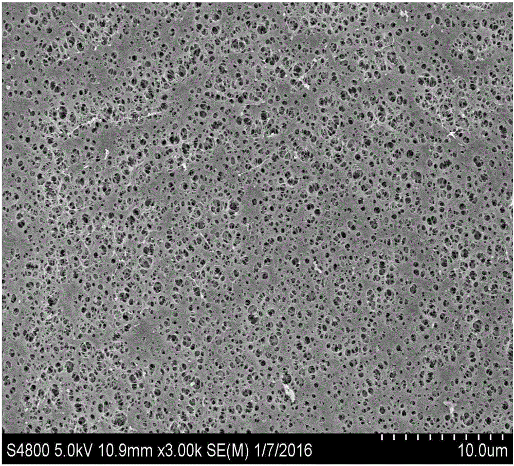 Novel nano-crystalline cellulose modified lithium ion battery diaphragm and preparation method thereof