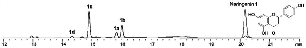 Application of a naringenin (4-o-methyl) glucoside compound in the preparation of anti-inflammatory or lipid-lowering drugs