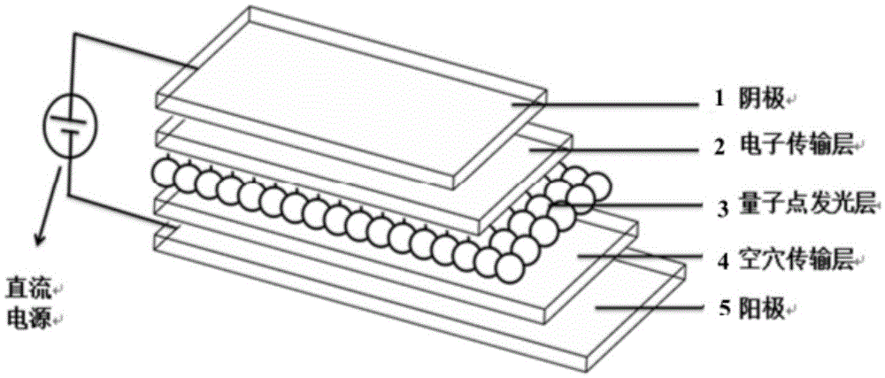 High-efficiency quantum dot light emitting diode with self-assembly polymer hole transmission layer structure