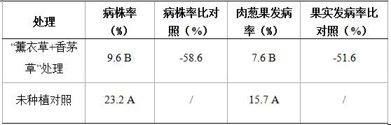 Biological control method for waxberry pulp column neoplasm