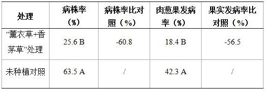 Biological control method for waxberry pulp column neoplasm