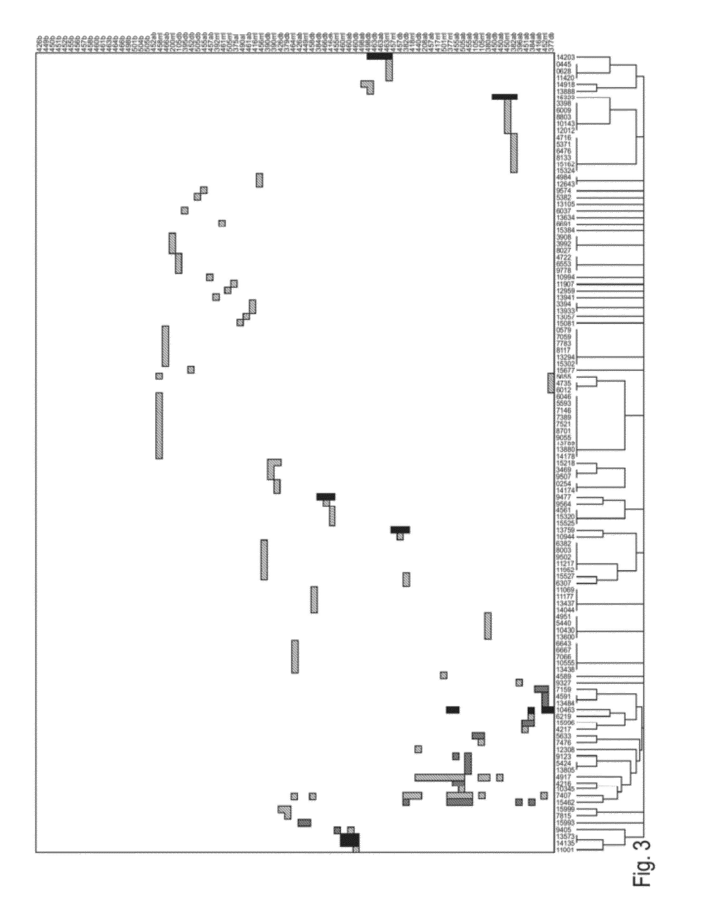 Mitochondrial mutations and rearrangements as a diagnostic tool for the detection of sun exposure, prostate cancer and other cancers