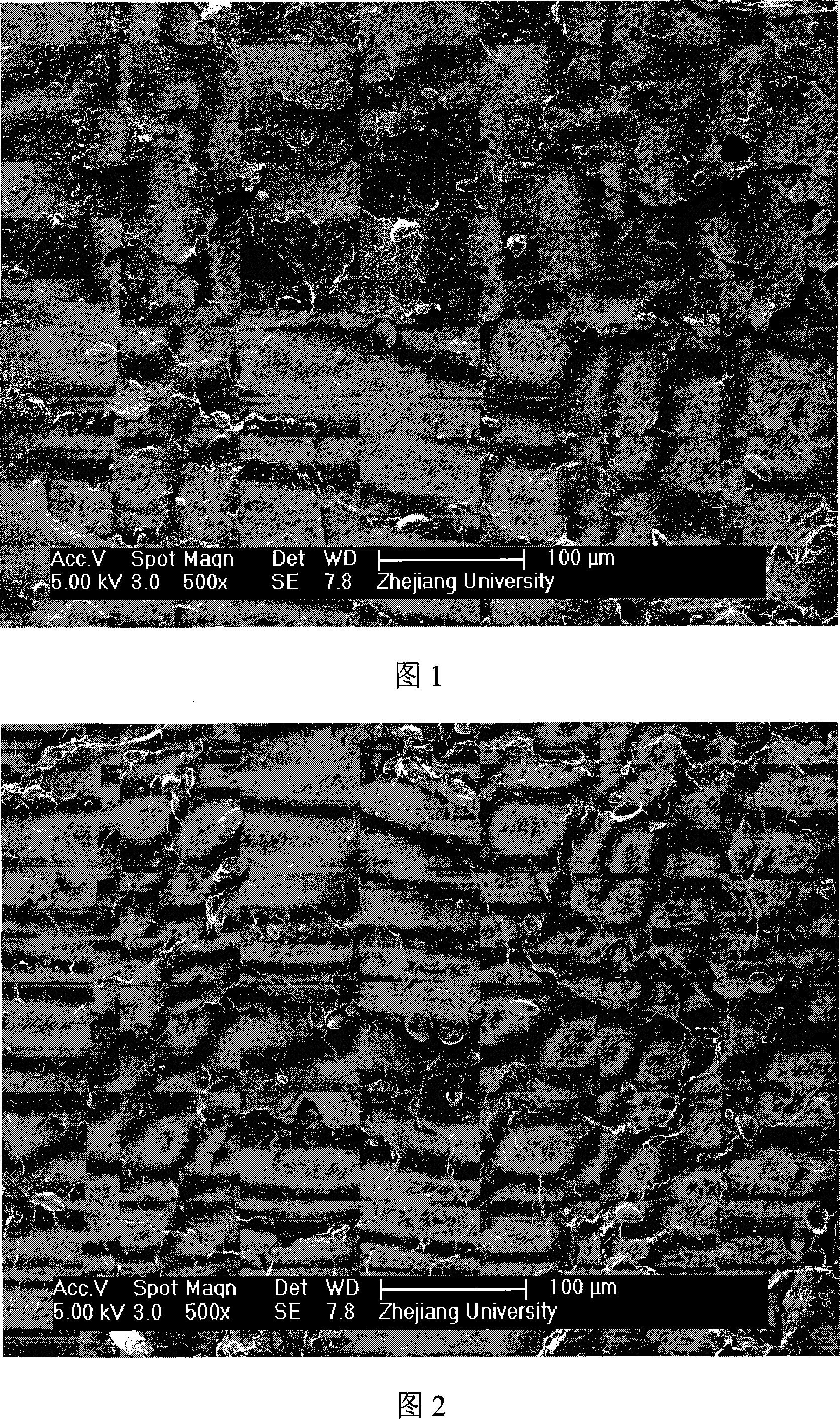 Gluten powder / calcium carbonate composite material in situ, and preparation method