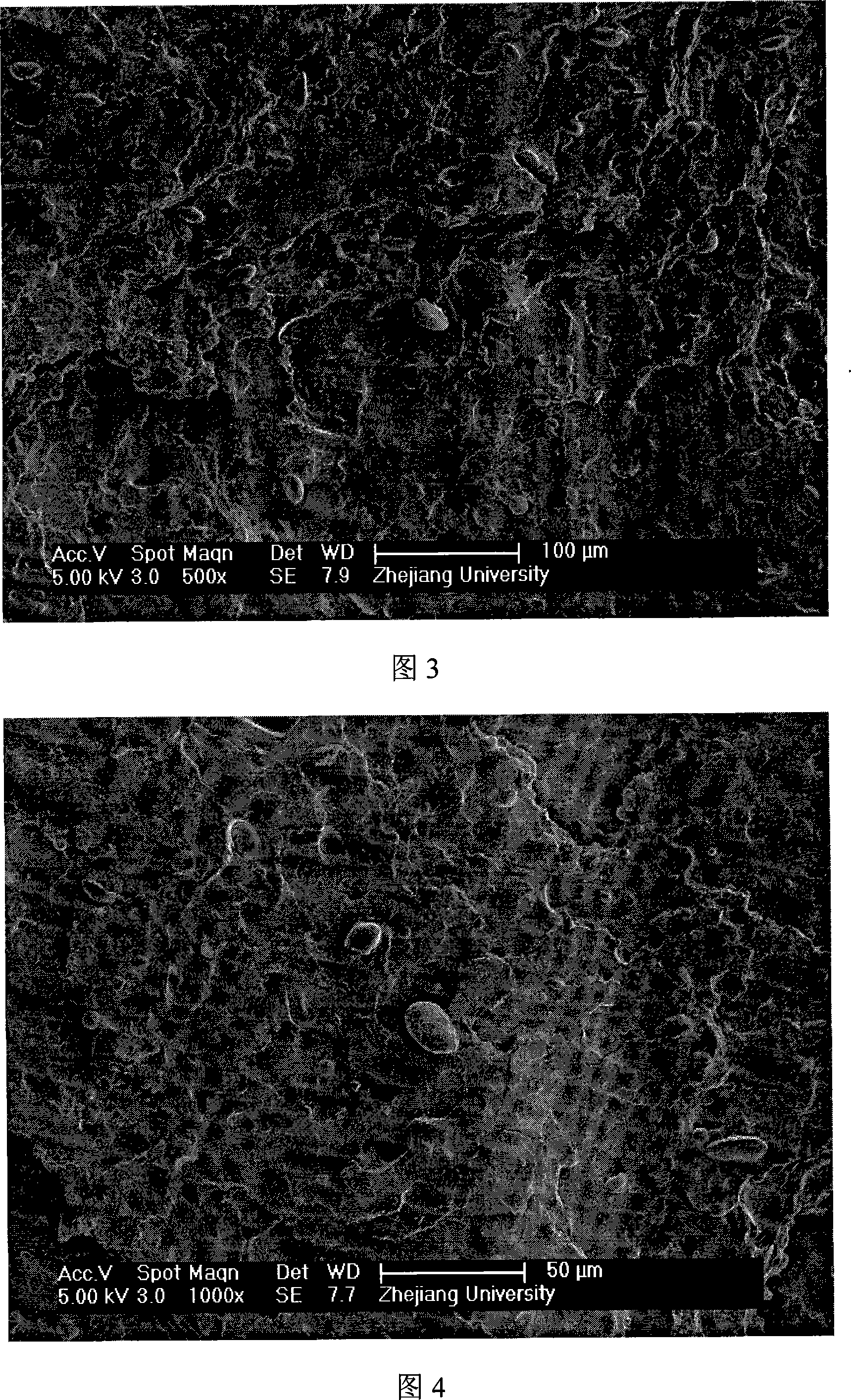 Gluten powder / calcium carbonate composite material in situ, and preparation method