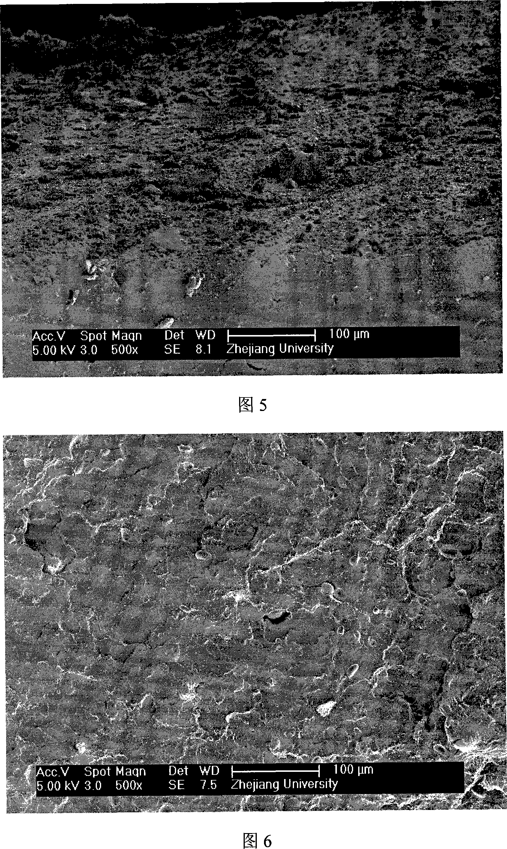 Gluten powder / calcium carbonate composite material in situ, and preparation method