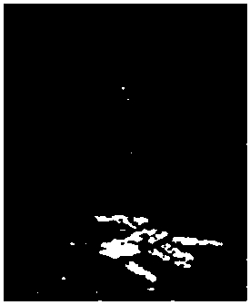 Sea surface oil spilling detection method based on a multi-scale feature deep convolutional neural network