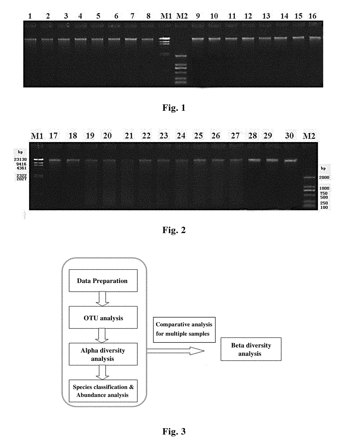 Stabilizer for Preserving Biological Samples