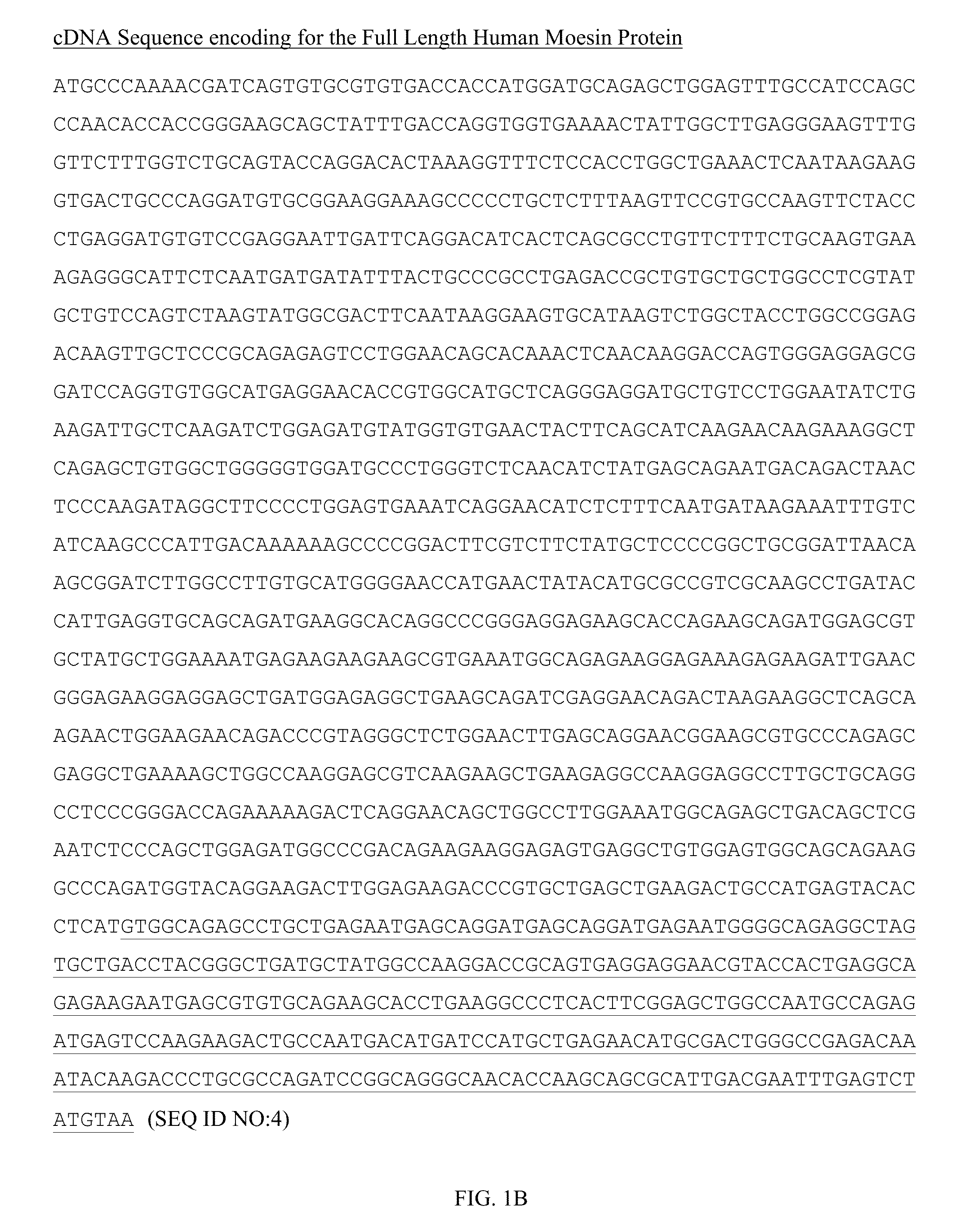 Moesin modulators and uses thereof