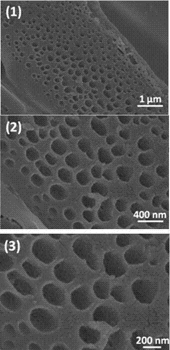 Preparation of N, S codoped graphitized carbon material and application as electrochemical catalyst