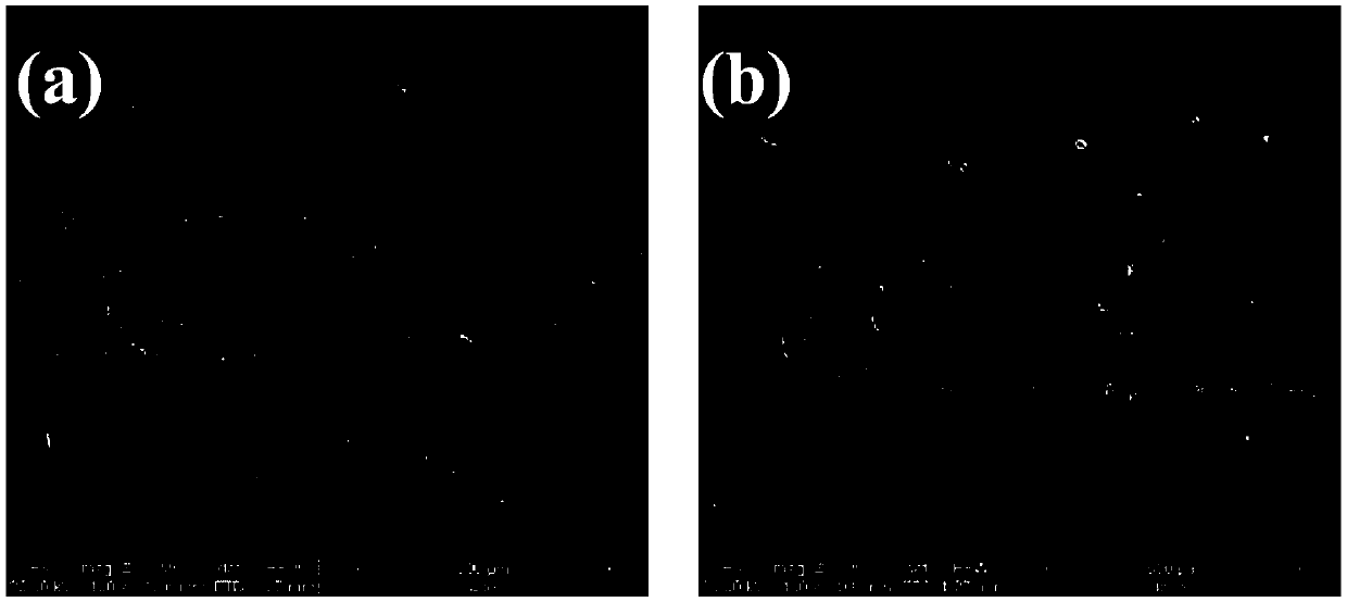 Preparation method of metal-graphene composite coating