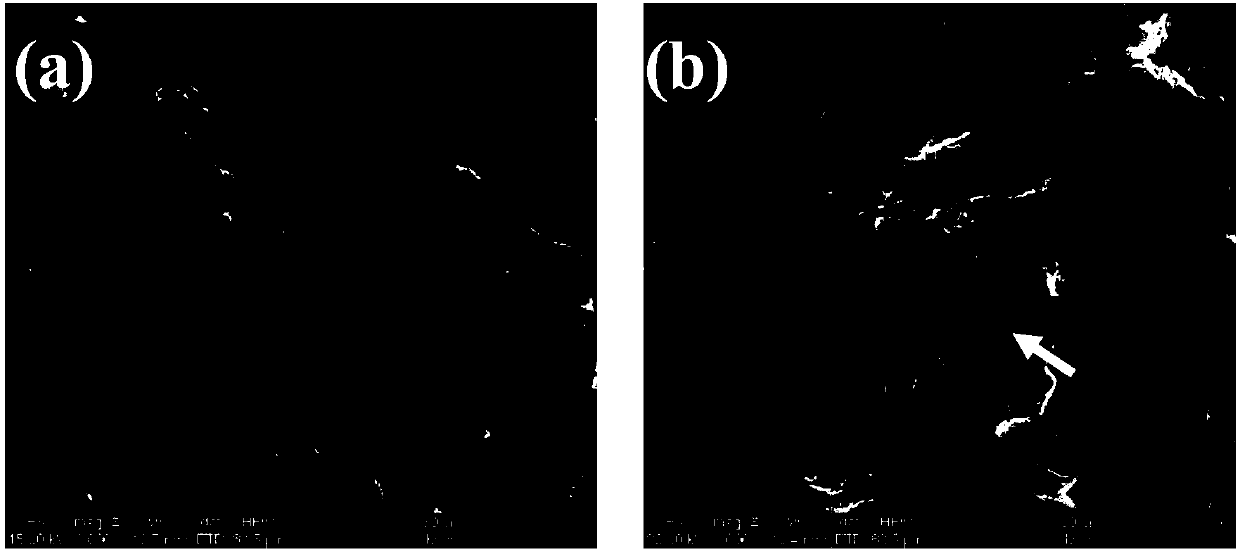 Preparation method of metal-graphene composite coating