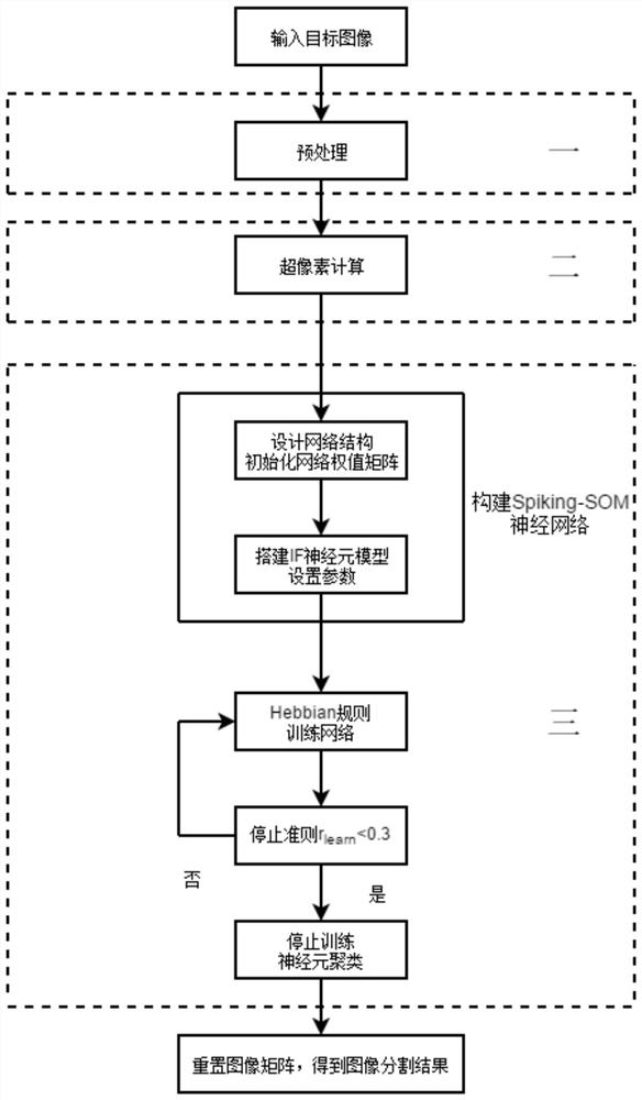 A system and method for image segmentation based on spiking-som neural network clustering