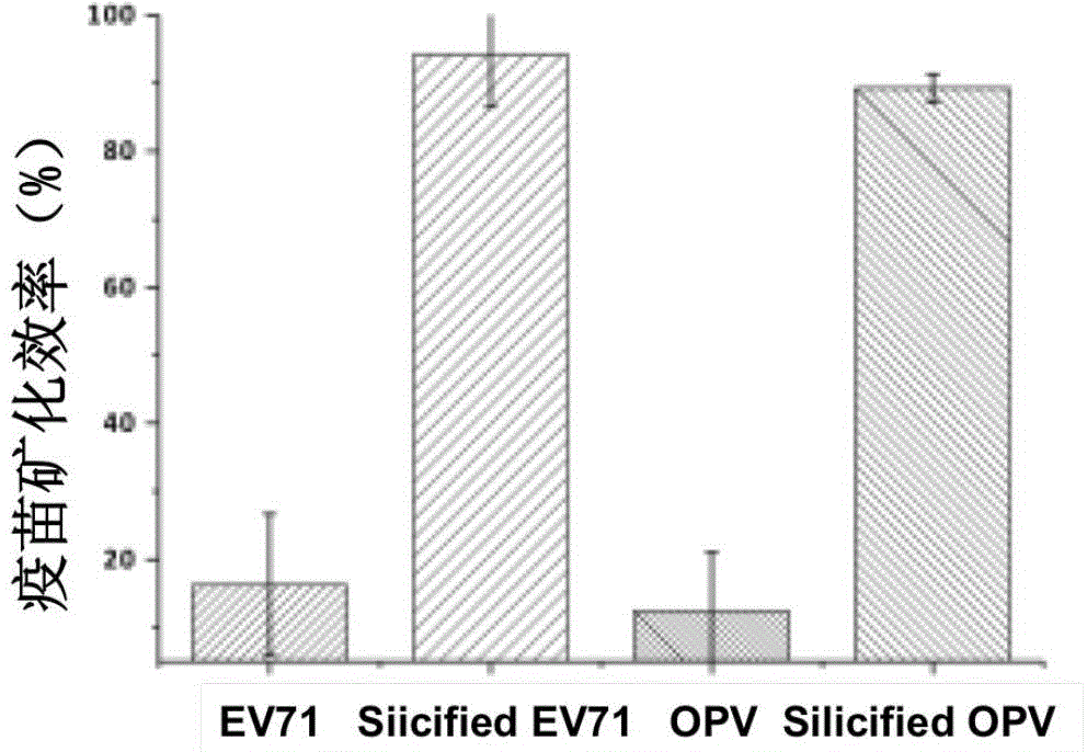 Thermostable vaccine with silica on surface and preparation method therefor