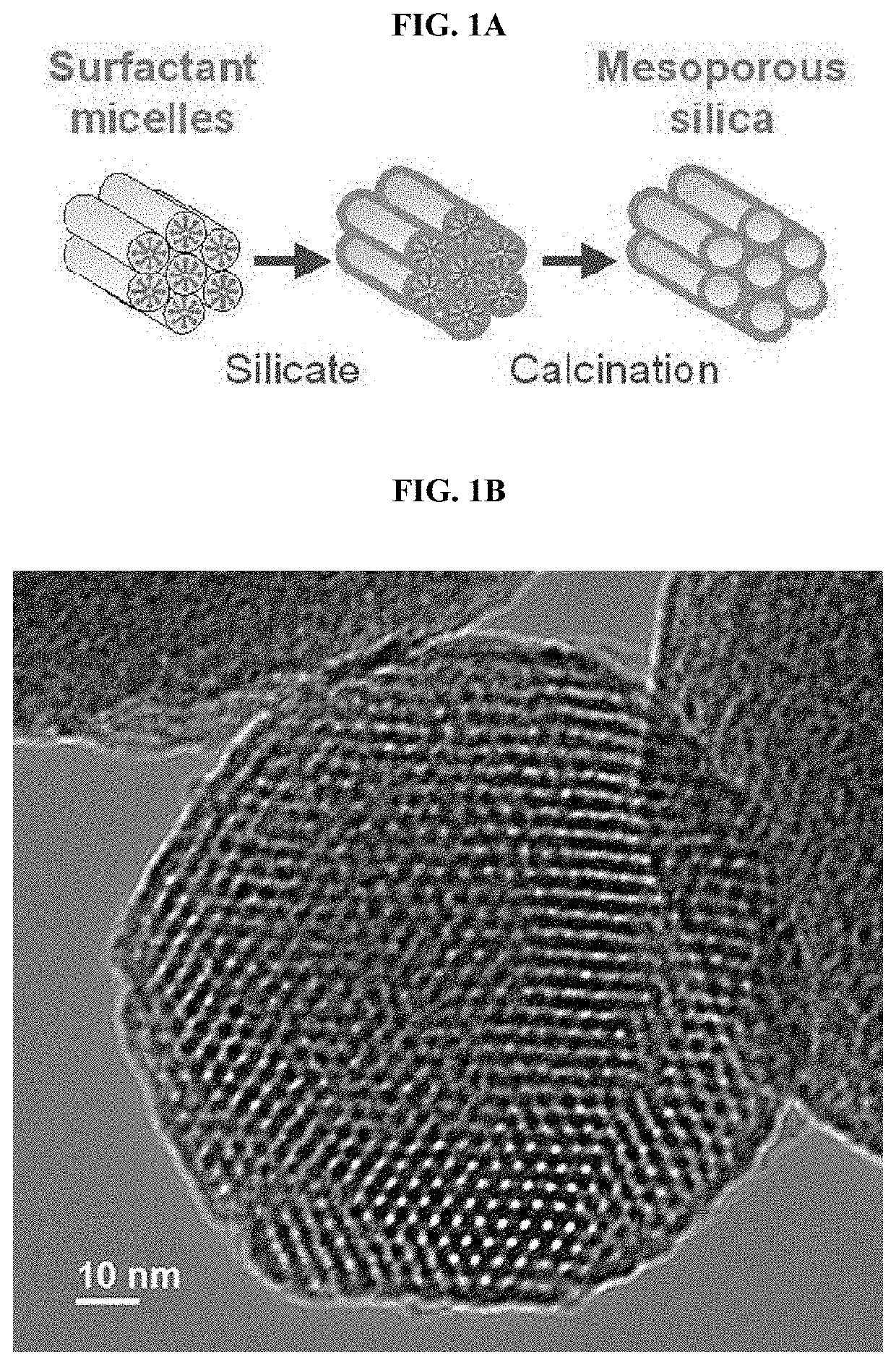 Sorbent and Devices for Capturing, Stabilizing and Recovering Volatile and Semi-volatile Compounds