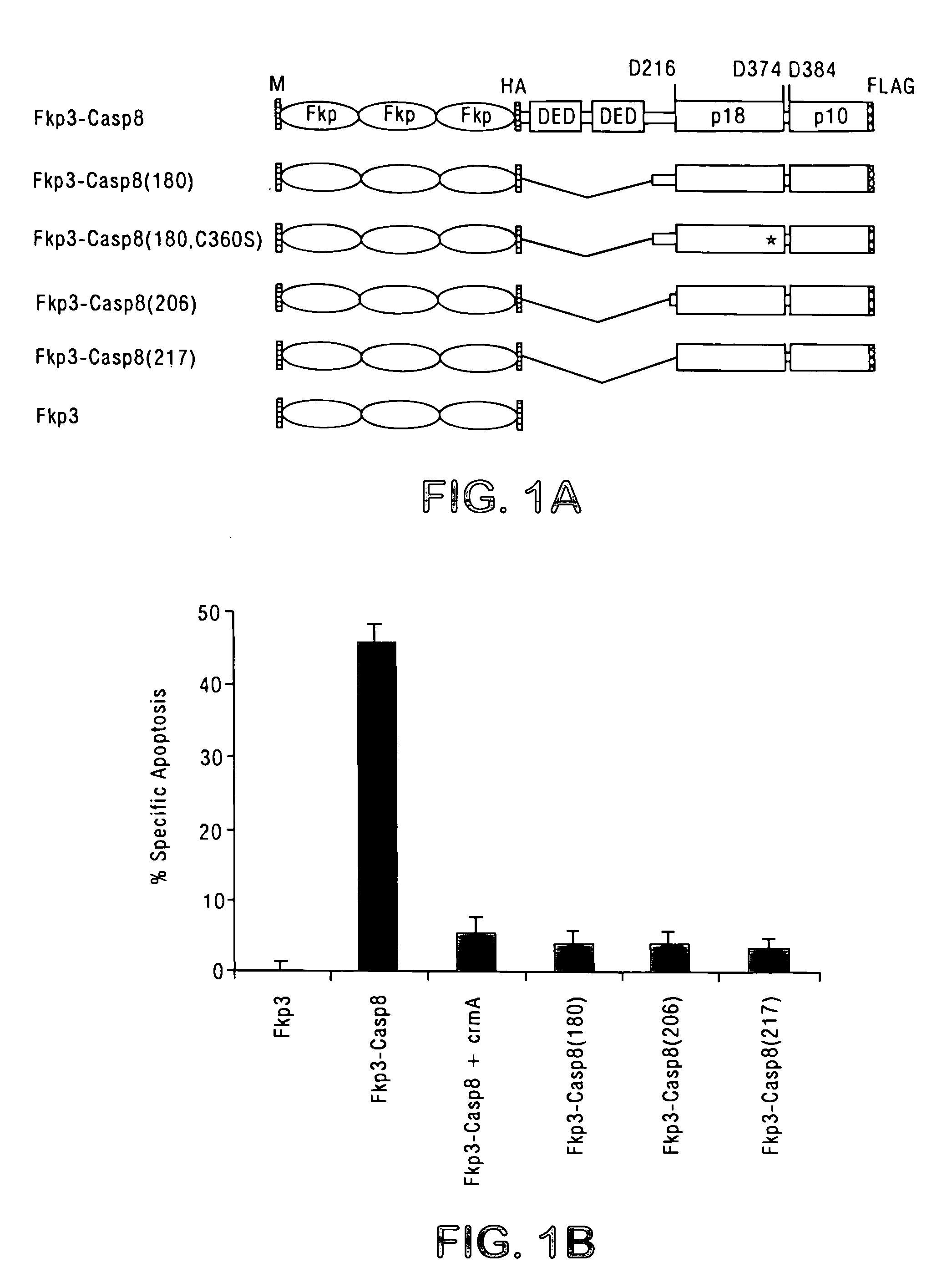 Chimeric pro-caspases and methods of using same