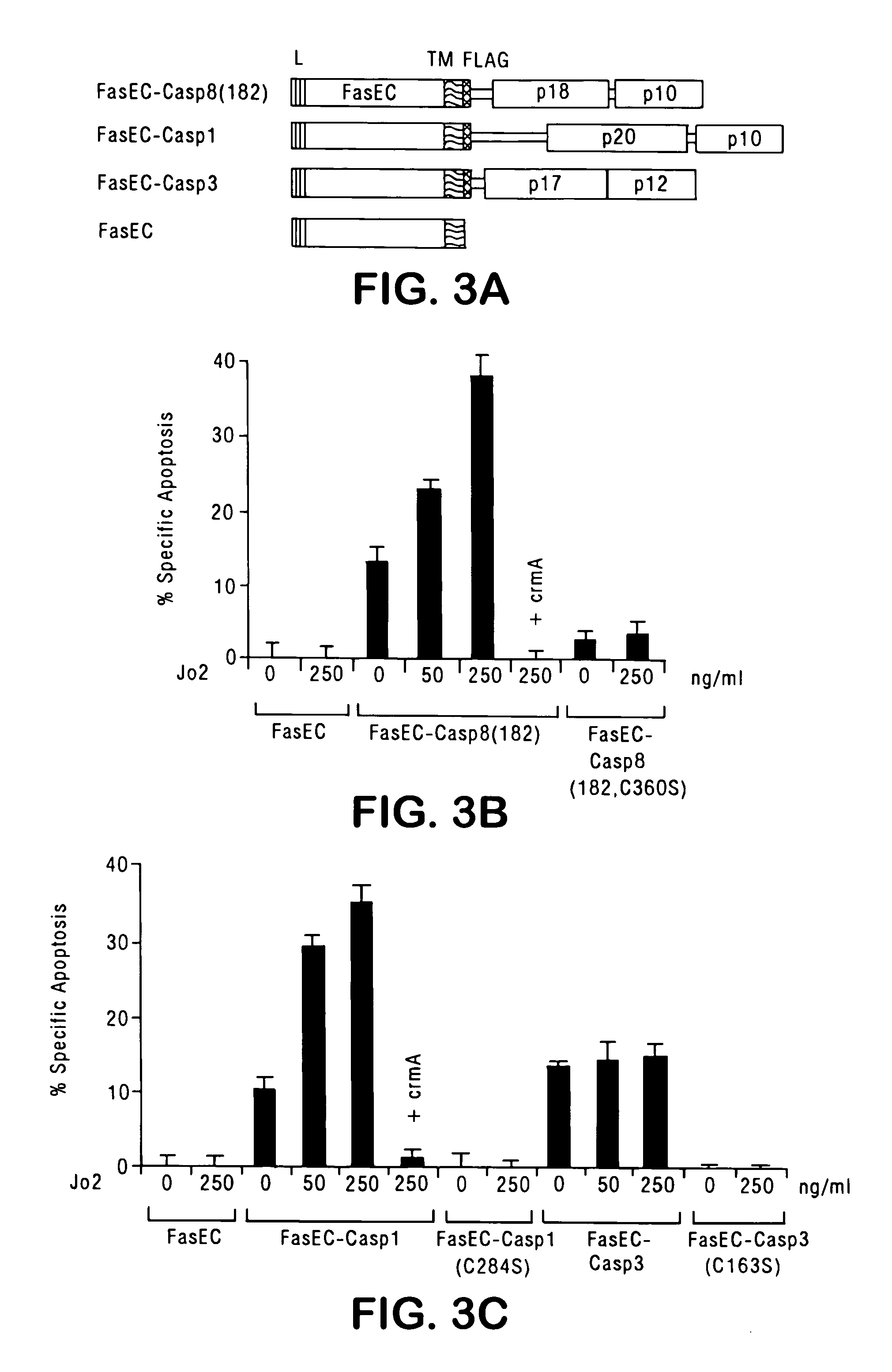 Chimeric pro-caspases and methods of using same