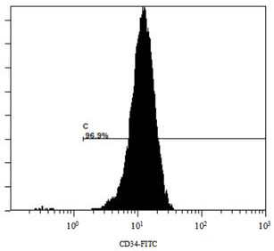 Method for induced differentiation of human embryonic stem cells into NK cells