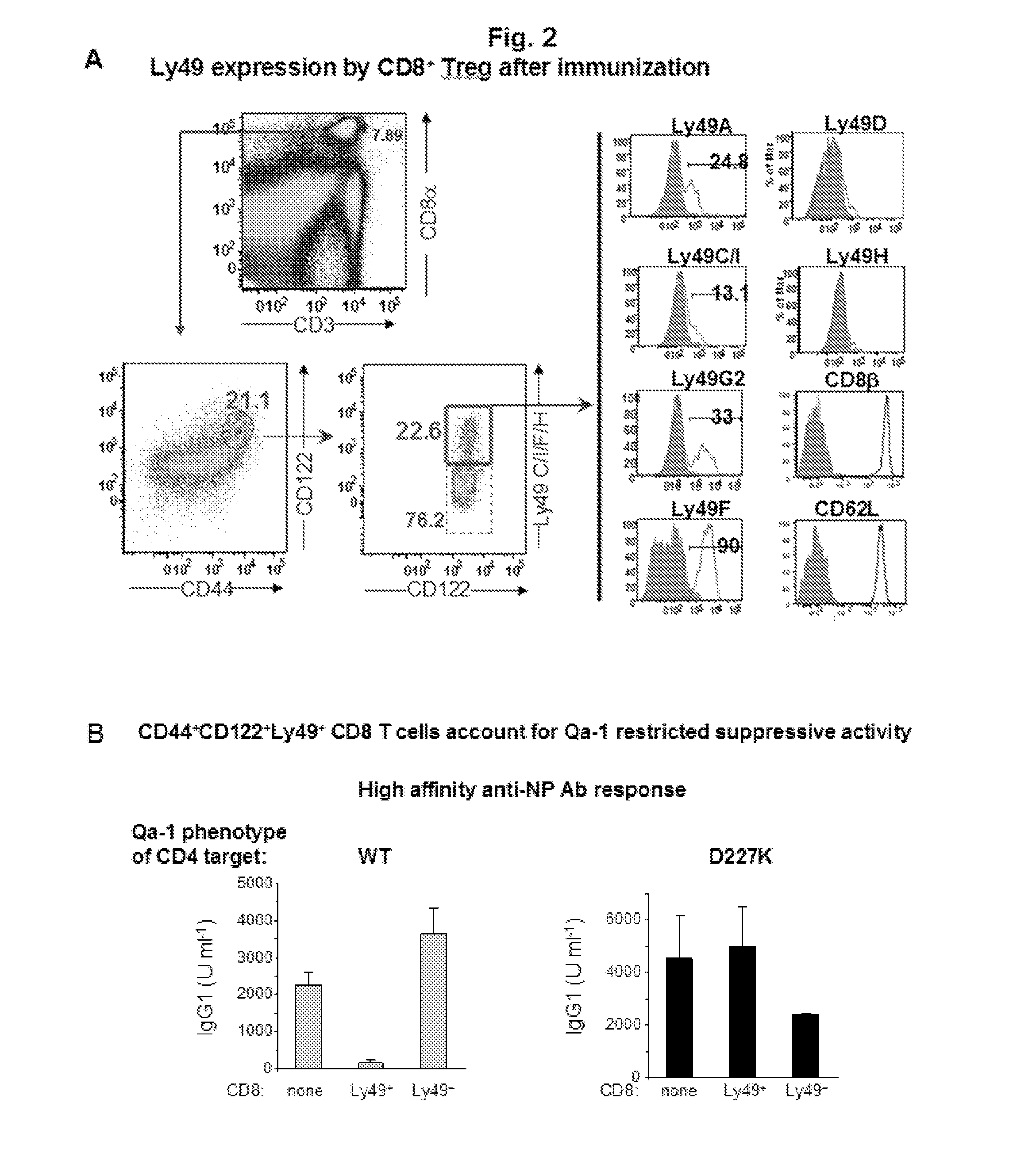 Discovery of regulatory t cells programmed to suppress an immune response