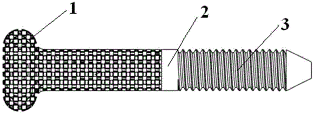 Porous structure bone cement screw design and manufacturing method thereof