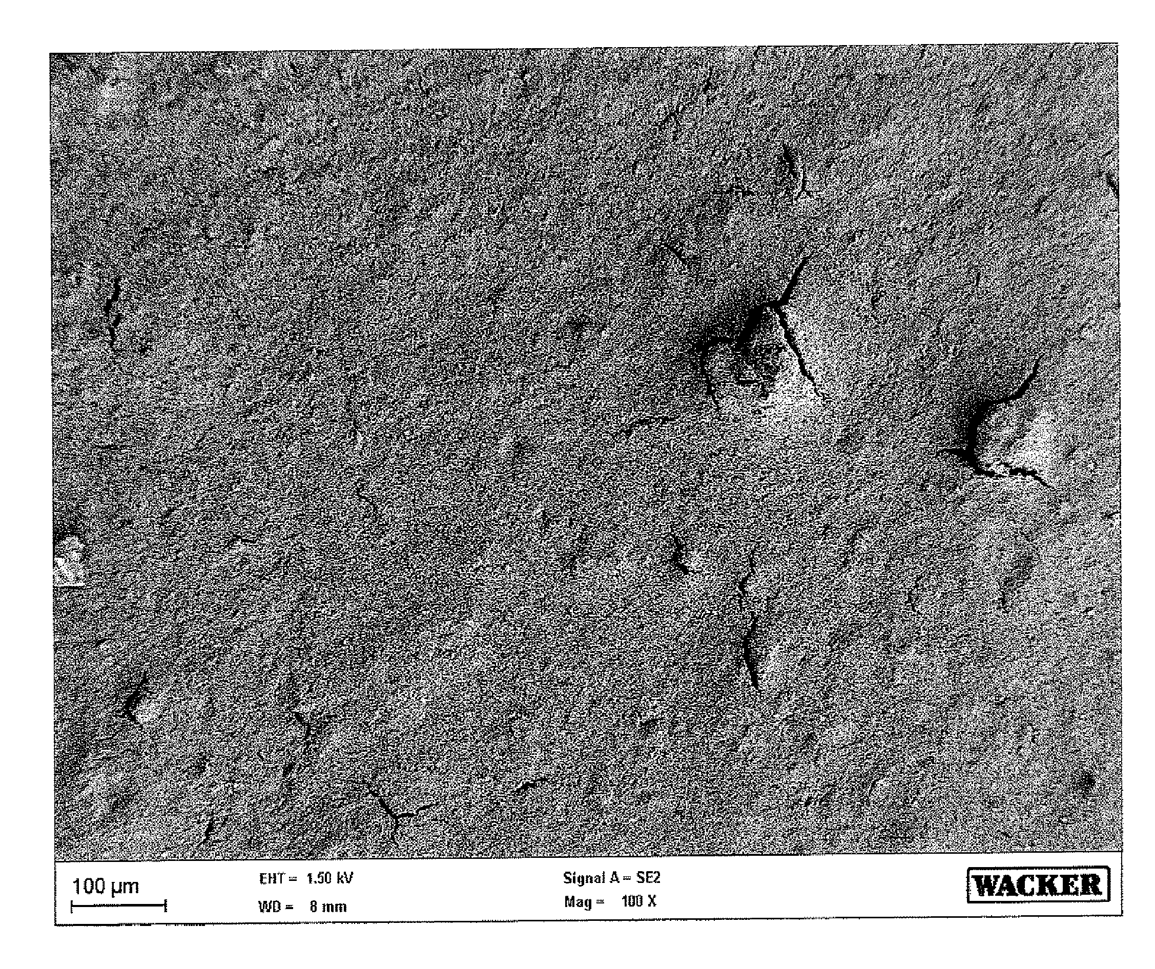 Highly Hydrophobic Coatings