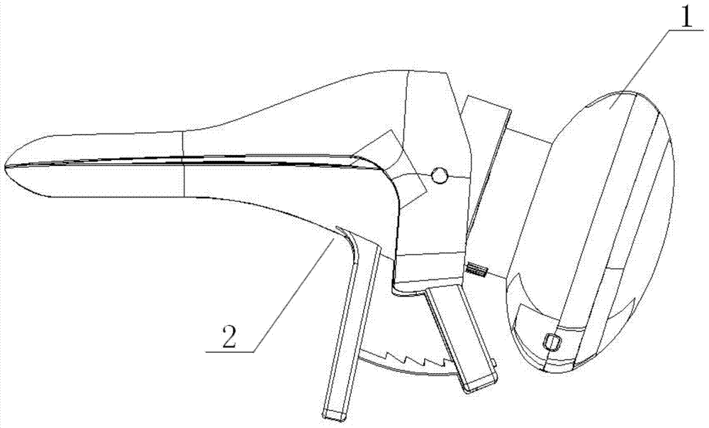 Combined vagina and cervix detection device and visible cervix cell sampler