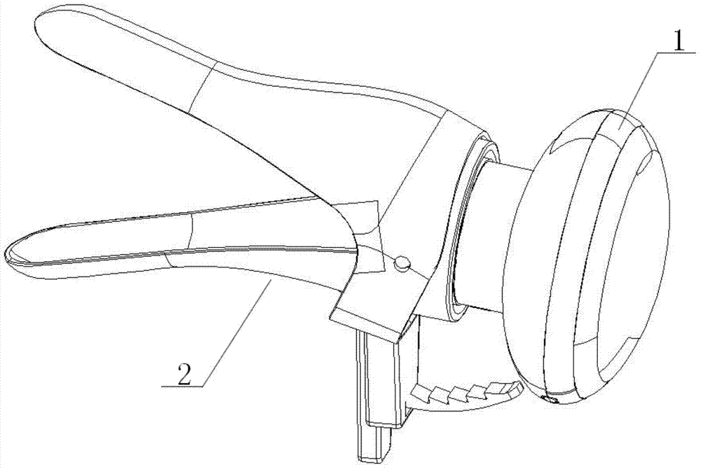 Combined vagina and cervix detection device and visible cervix cell sampler