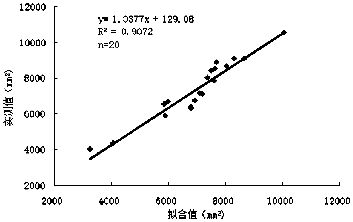 Computation method of greenhouse crop leaf area index