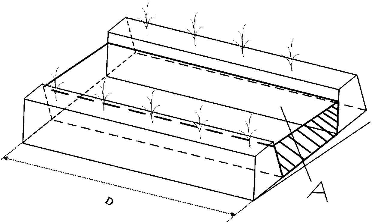 Layout method of ridges and furrows in sloping farmland for efficient utilization of rainwater resources