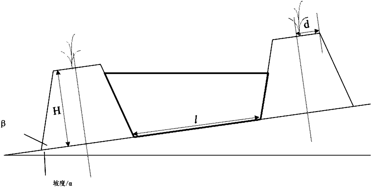 Layout method of ridges and furrows in sloping farmland for efficient utilization of rainwater resources