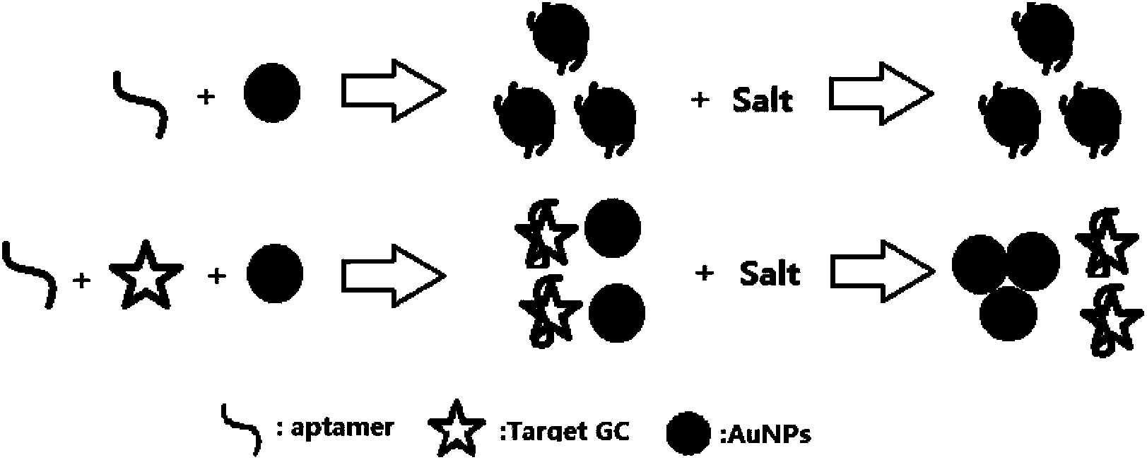 Cortisol hormone aptamer and application thereof