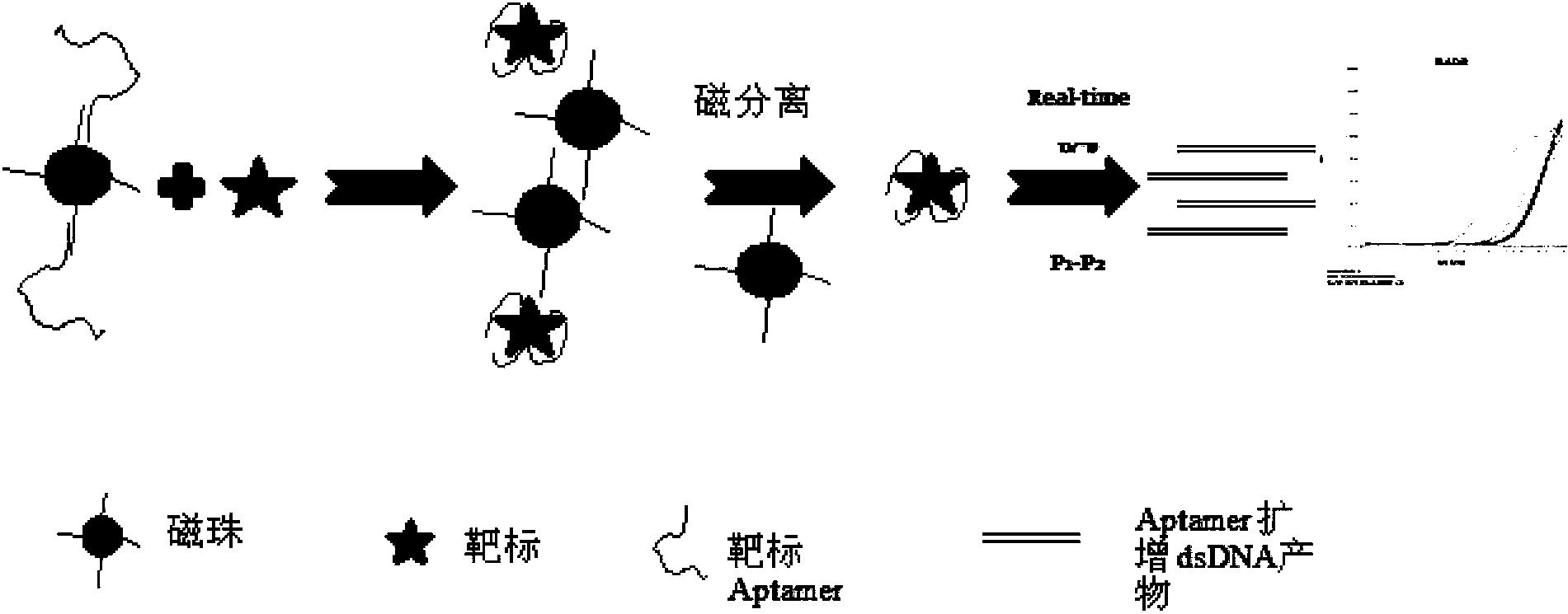 Cortisol hormone aptamer and application thereof