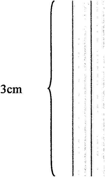 Anti-mosquito bounced color flash curtain and production method thereof