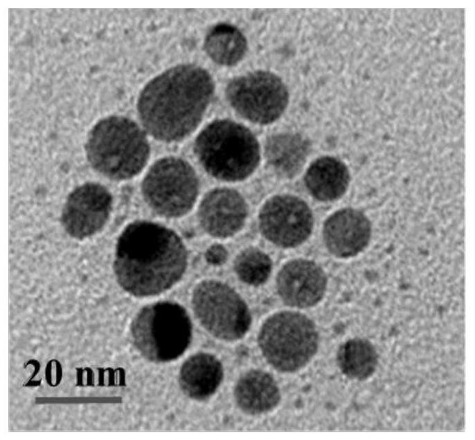 Anti-tumor composition based on nano-silver material and application of anti-tumor composition