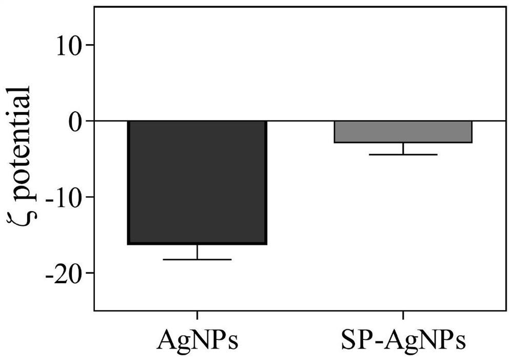 Anti-tumor composition based on nano-silver material and application of anti-tumor composition