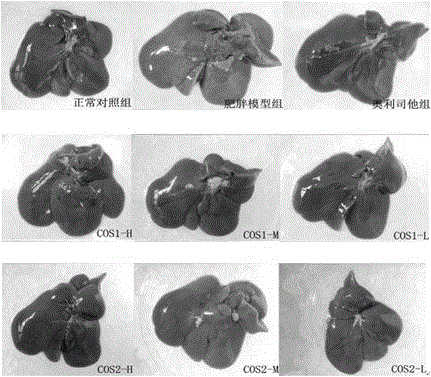 Weight reduction and body fat reduction applications of chitosan oligosaccharide