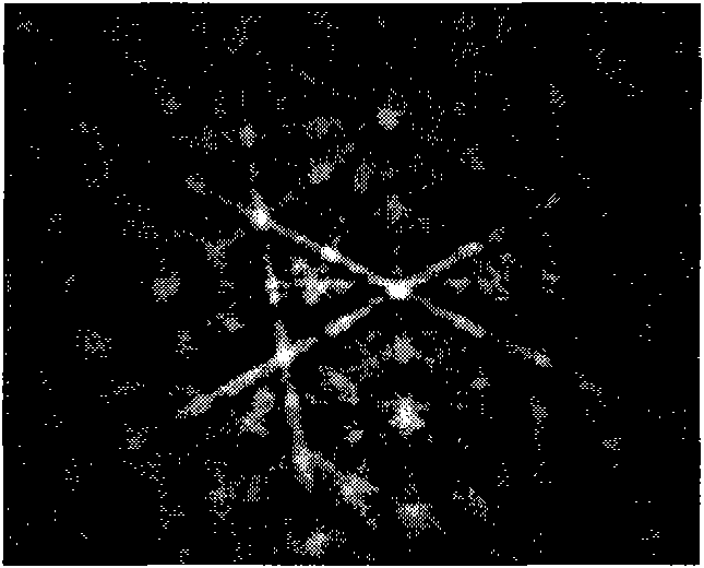 Preparation method of magnesium-alloy electron backscatter diffraction sample (EBSD) and special electrolyte thereof