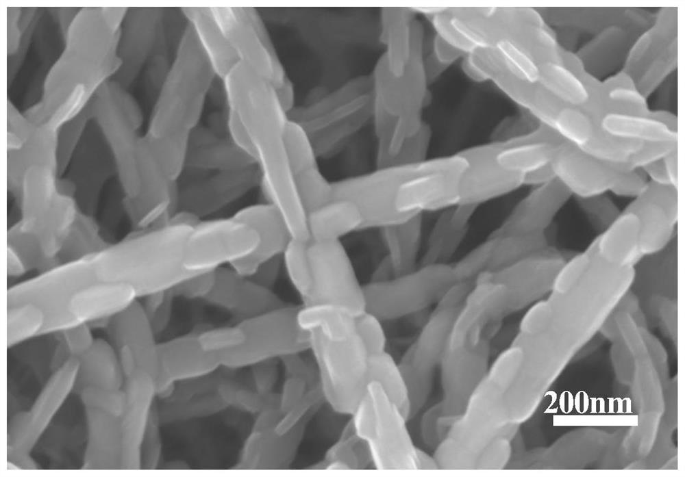 SnSe/CNT high-temperature flexible thermoelectric thin film material and preparation method thereof