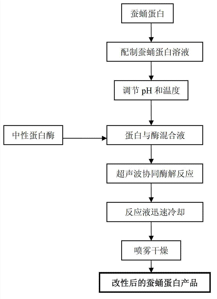 Method for improving silkworm chrysalis protein functional characteristics using ultrasonic wave coordinated with enzymolysis technology and product and application thereof