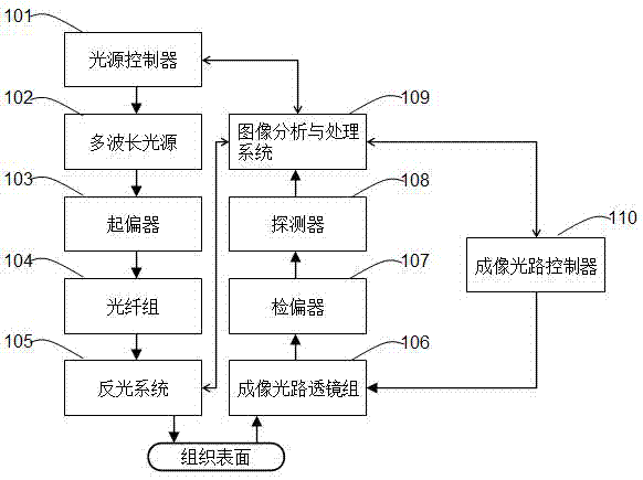 Multilevel microcirculation condition monitoring device and method