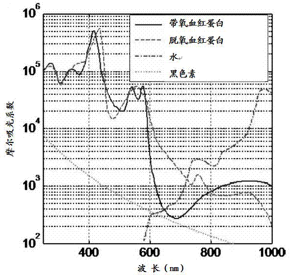 Multilevel microcirculation condition monitoring device and method