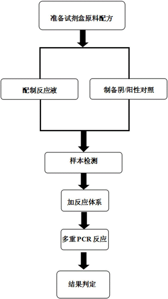 Multiple-PCR (polymerase chain reaction) detection kit for macrolide drug resistance genes of staphylococcus infecting livestock and use method