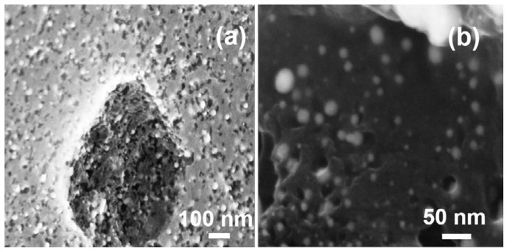 Application of nickel-based catalyst with high-specific-surface-area hydrophilic activated carbon as carrier in catalytic hydrogenation hydrolysis